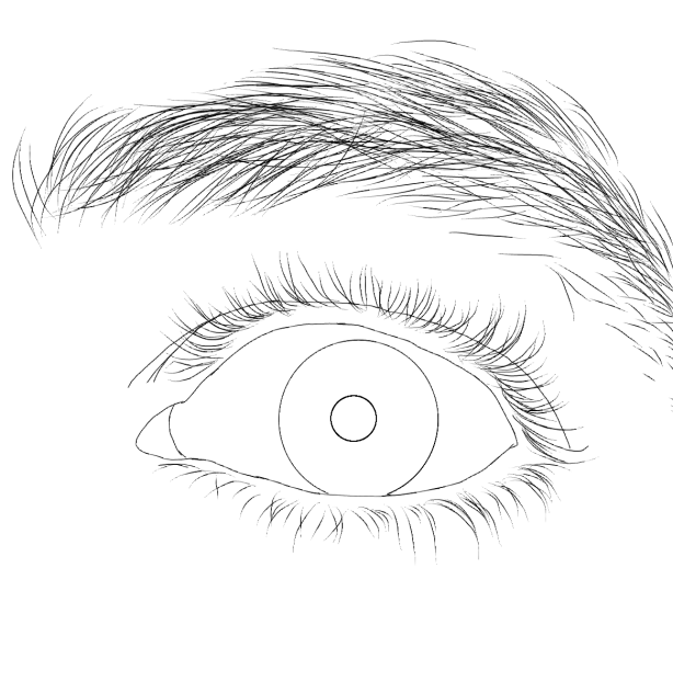 Eye