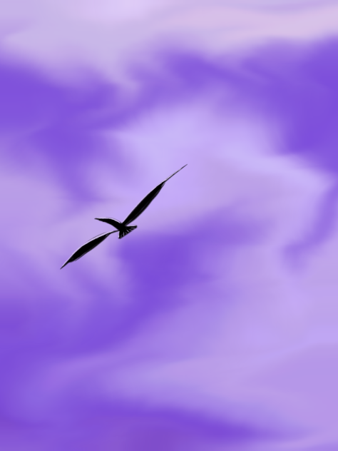 Flying Higher