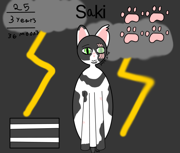Saki concept