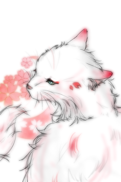 桜猫