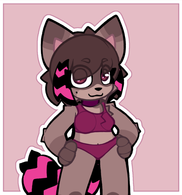 Charlie the raccoon.2022.10.16-19.55