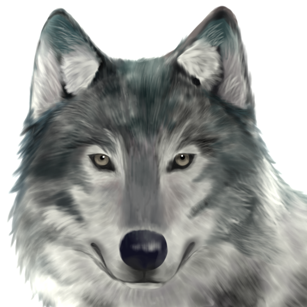 狼