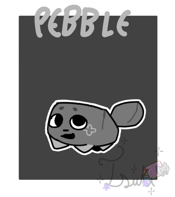 Pebble
