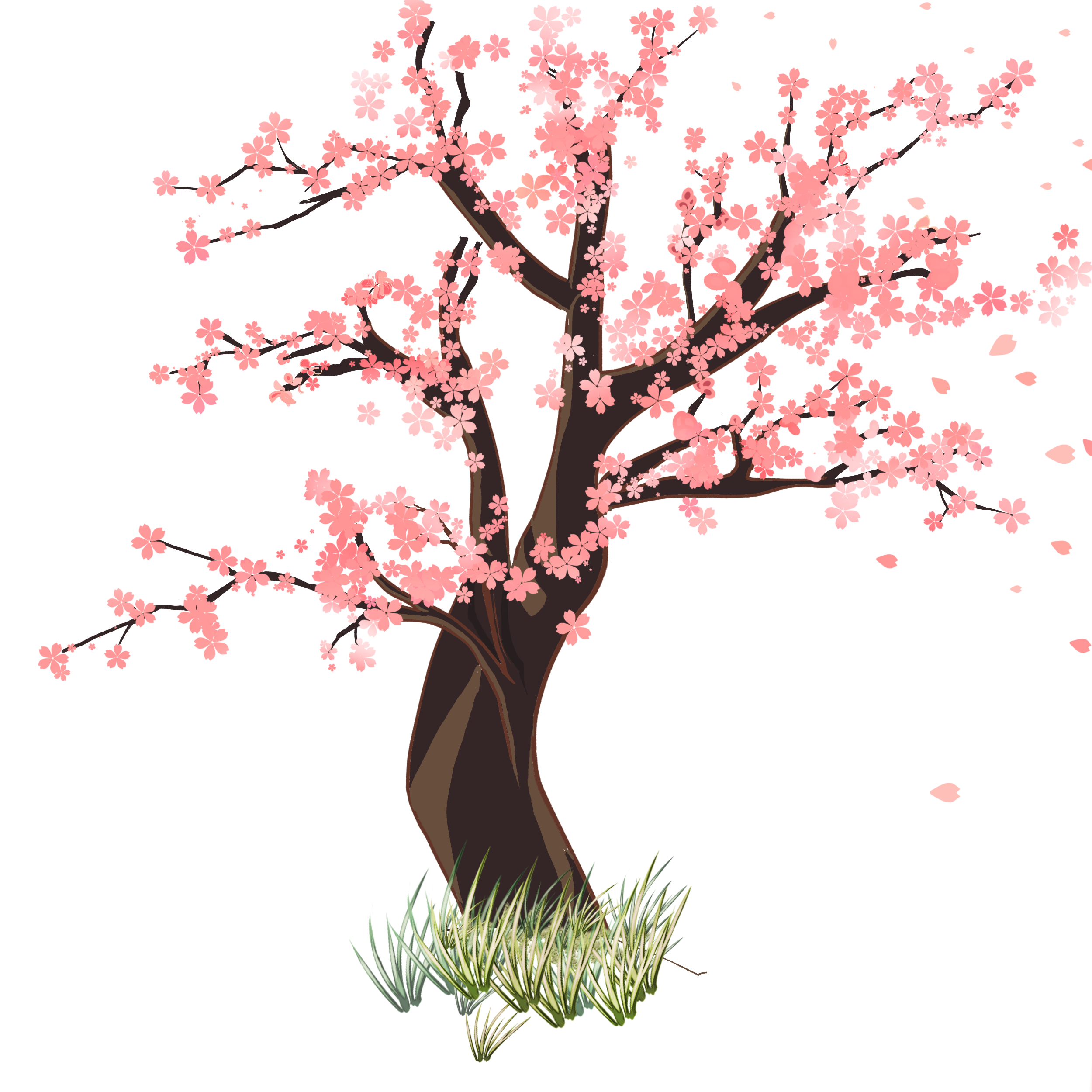 sakura tree - ibisPaint