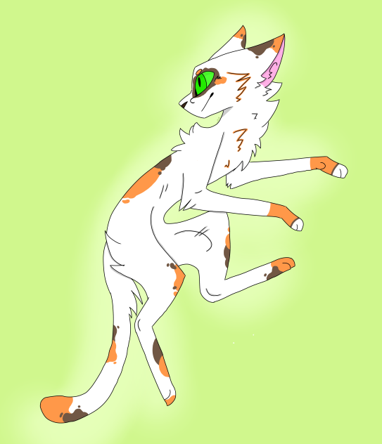 Raxx