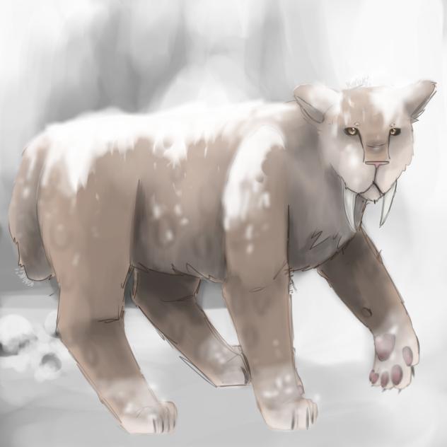 Sabertooth cat