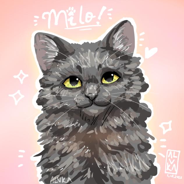 My cat!