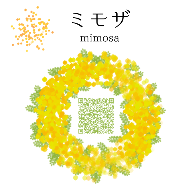 ミモザ