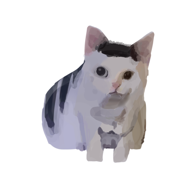 ｈａｈ？猫
