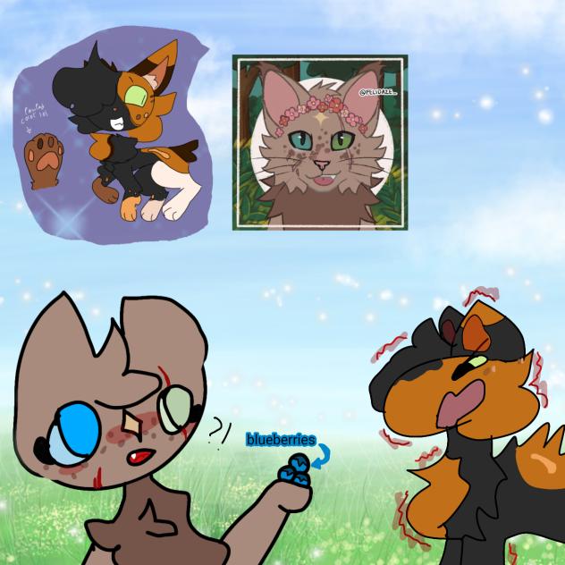 do you want a blueberry