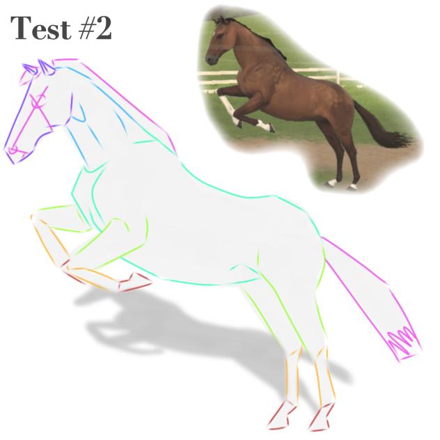 test #2Anatomy
