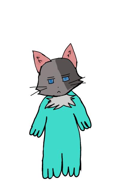 猫？？