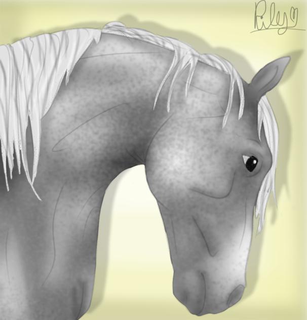 Horse head