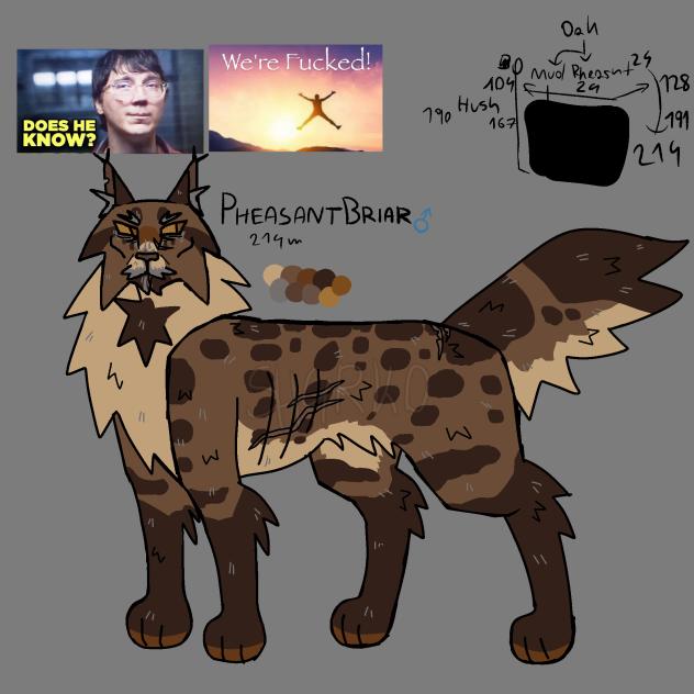 Warrior cats oc reffff 😋😋😋