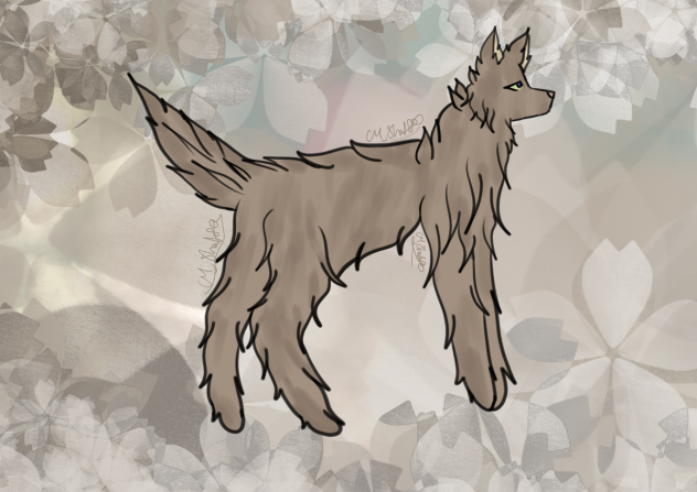 ^ A Wolf ^