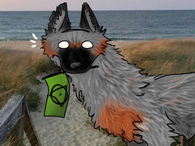 The wolf by the sea