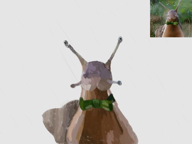 snail.