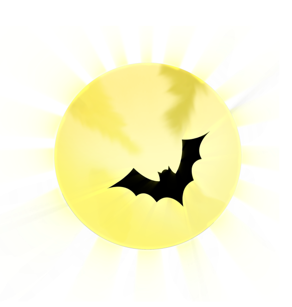 🦇🦇🦇🦇🦇🌕🌕🌕