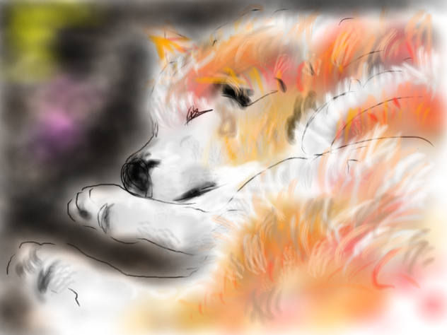 夢見る老犬シーサー Ibispaint