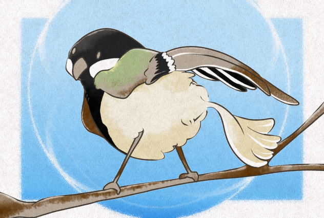 シジュウカラ