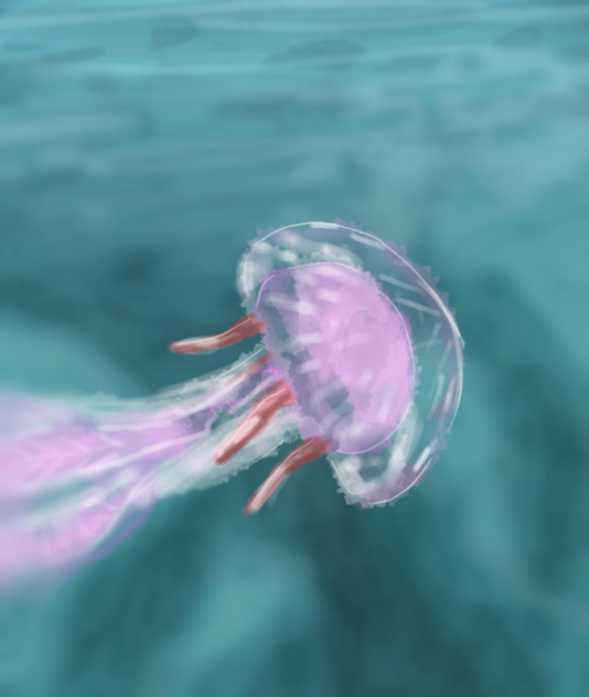 jellyfish - ibisPaint