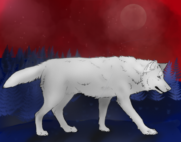 Wolf - ibisPaint