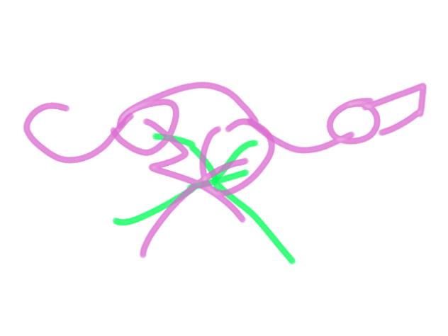 Dog gallop