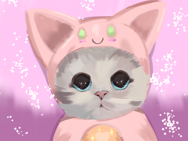 Cute cat