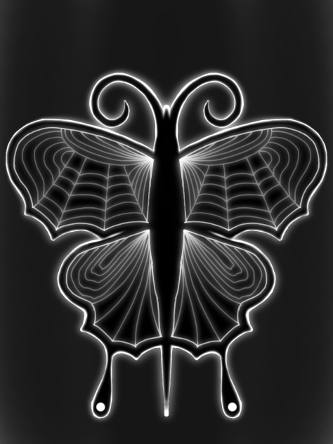 Butterfly 🤍🖤