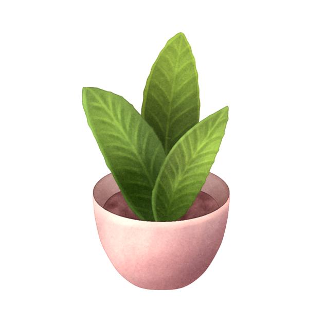 Plant pot