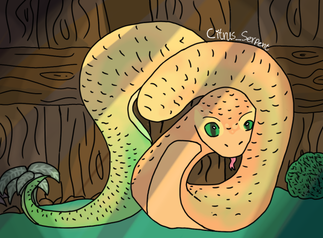 Citrus Serpent (Me)