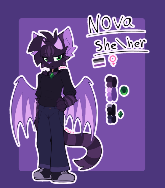 Shady Redesign Nova