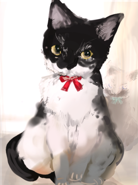 猫パンチの子
