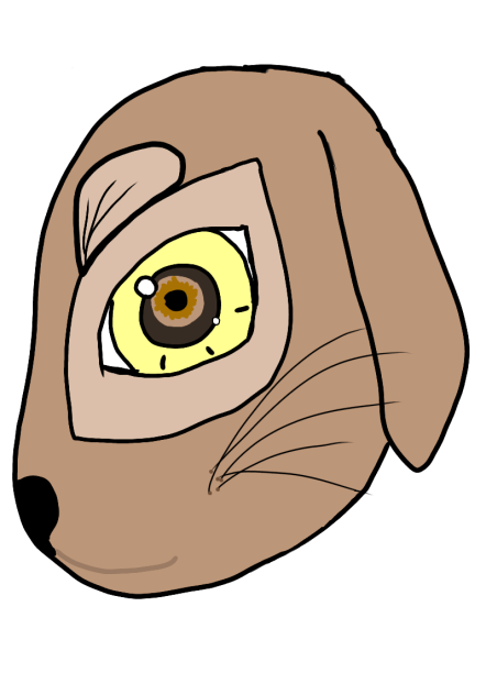 Dear Rabbit - ibisPaint