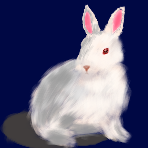 兎