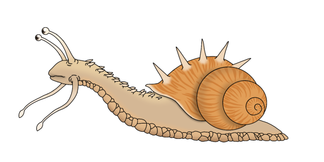 Lou Carcolh revamp