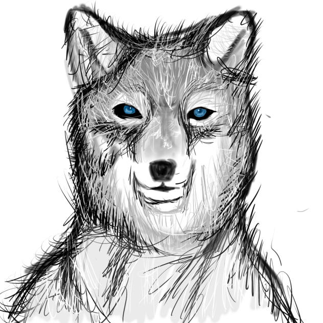 Wolf - ibisPaint