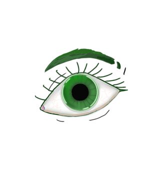 Random ahh eye
