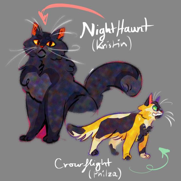 the cats return......