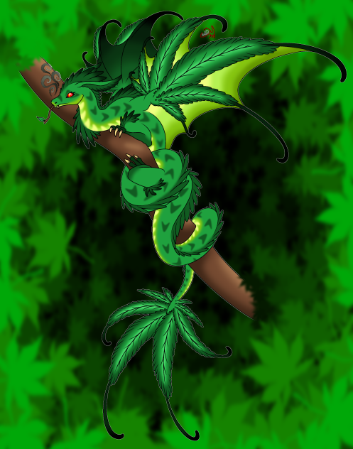 Dragon420