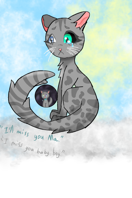 Cat mother died and watches her boy