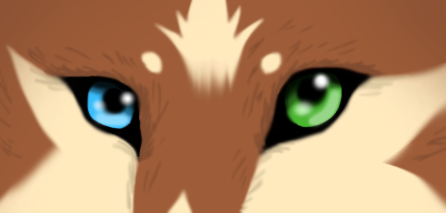 Heterochromia eyes
