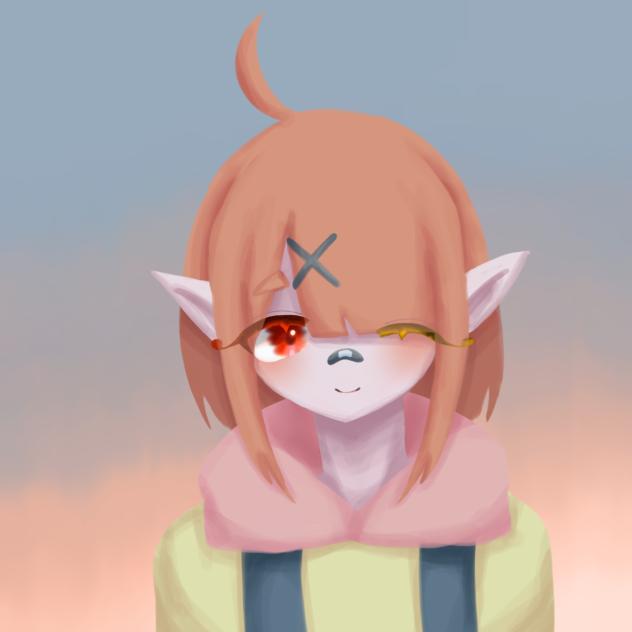 🧡🪽🌇