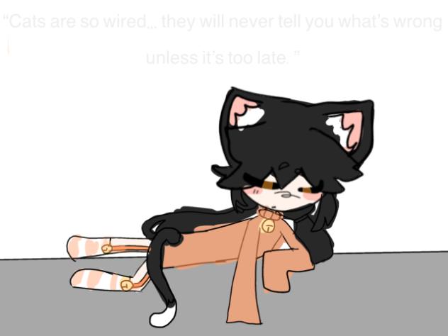 Cats are so wired… [TREND]