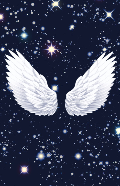 無題244