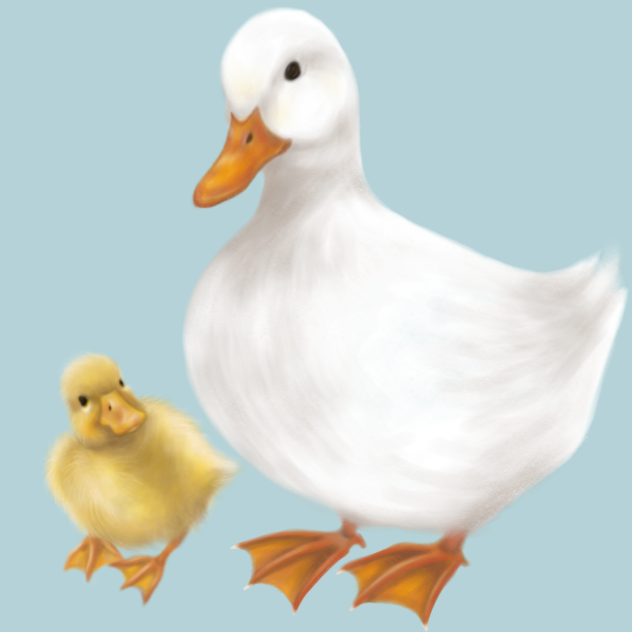 かわいいあひると子　ネット画像参照