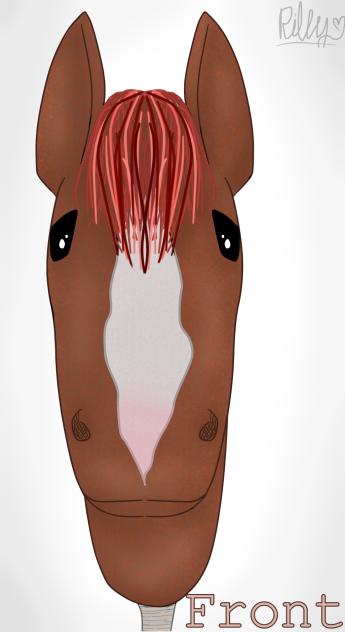 hobby horse, front