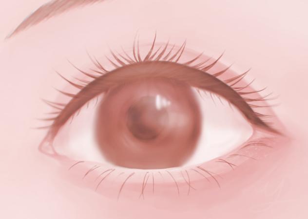 目の練習5の2
