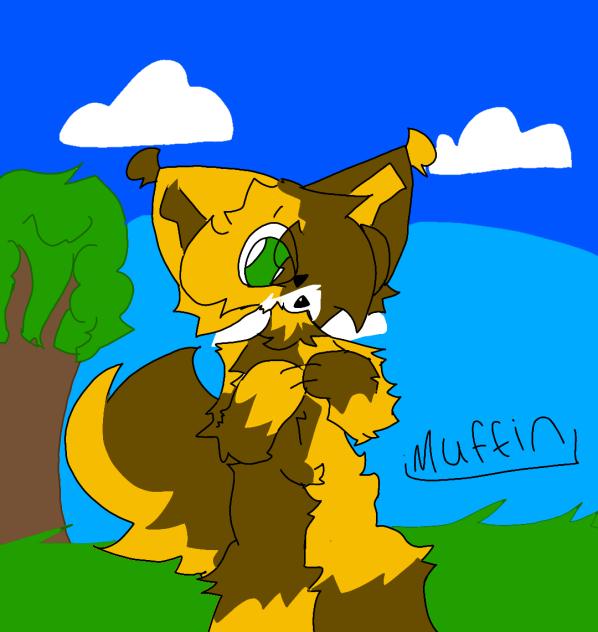 Muffin!