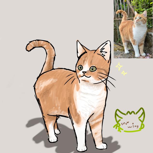Drawing Random Cats On Pinterest①